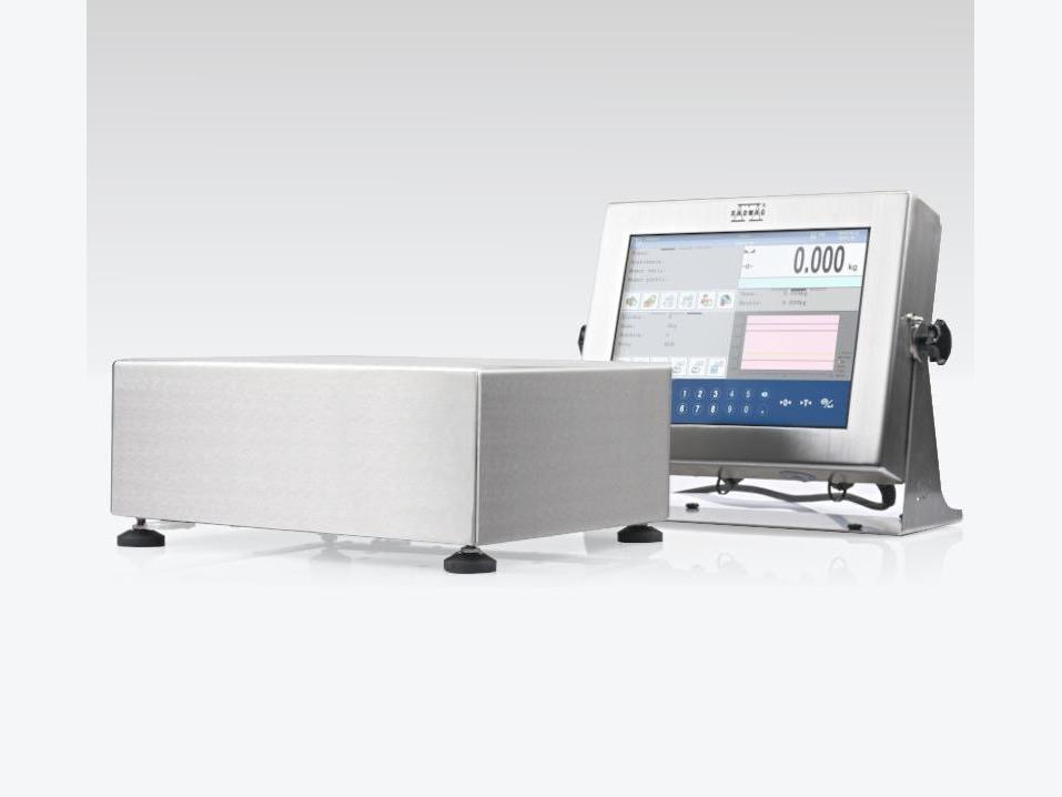 HY10.16.HRP.H High Resolution Scale