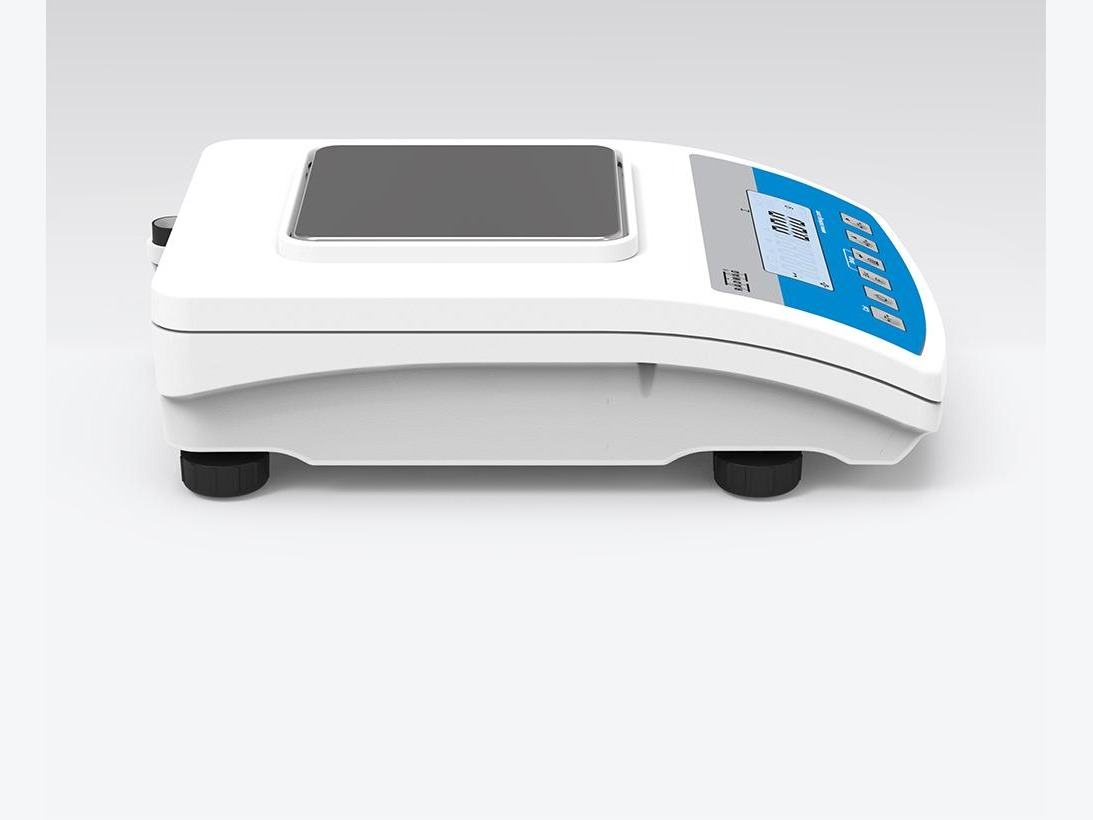 WLC 0.6/A1/C/2 Precision Balance