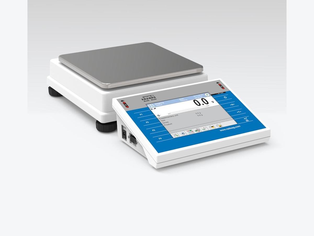 WLY 10/D2 Precision Balance