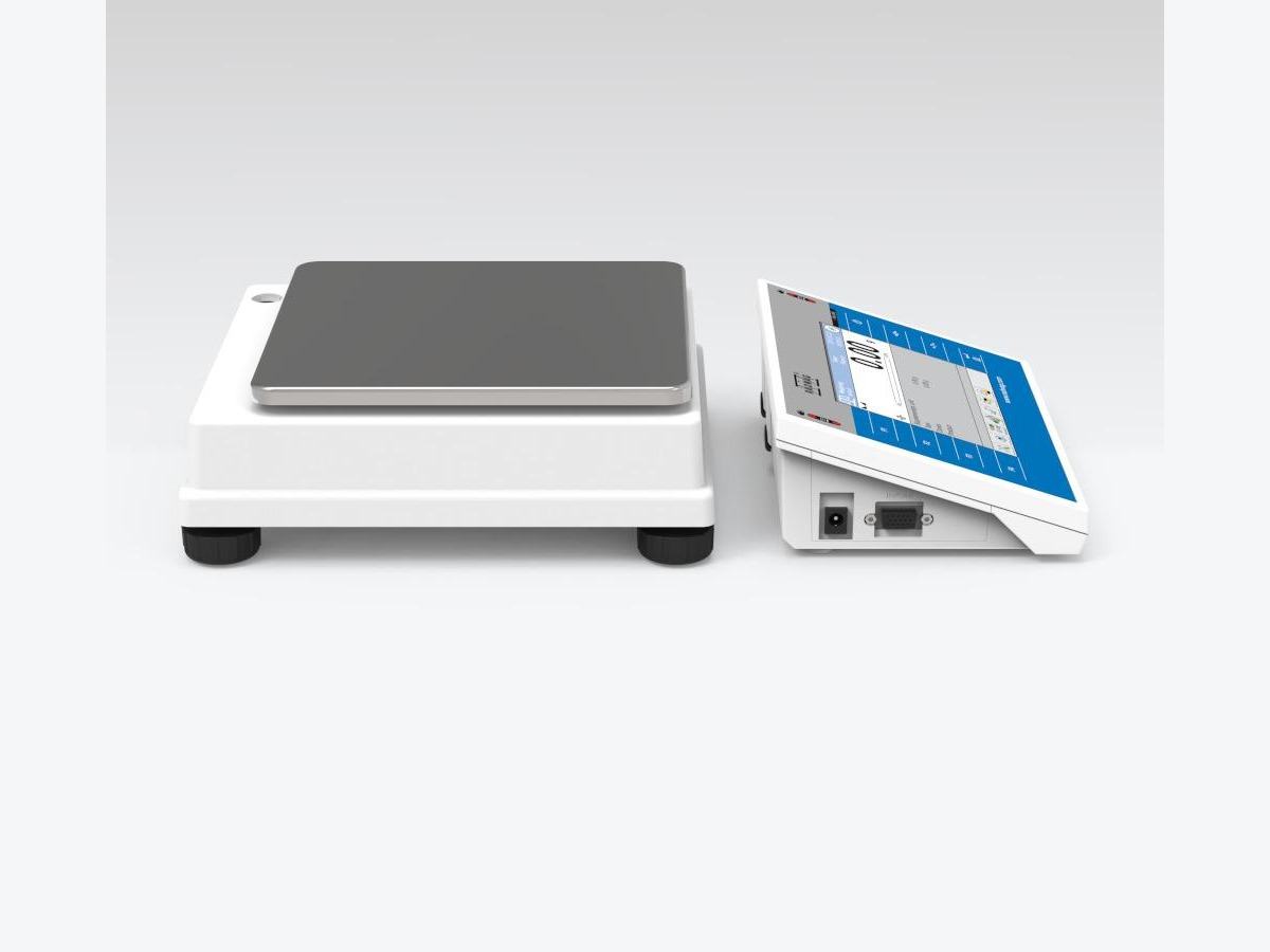 WLY 1/D2 Precision Balance