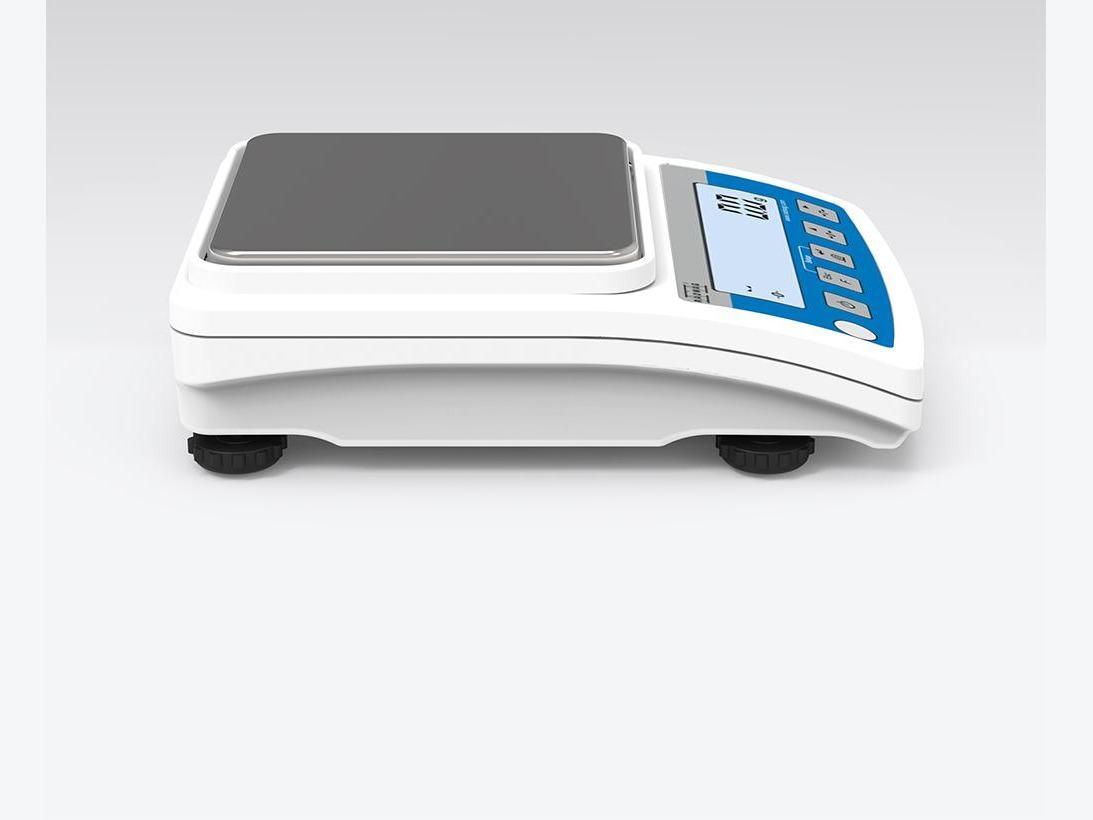WTC 3000 Precision Balance