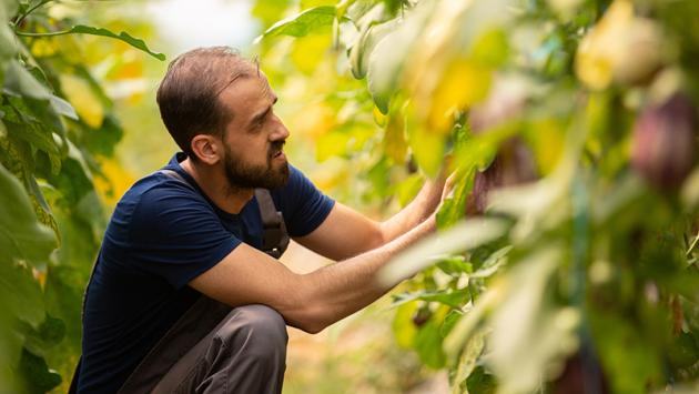 In protected agriculture, CO2 is a direct input to photosynthesis and is controlled together with temperature and humidity.